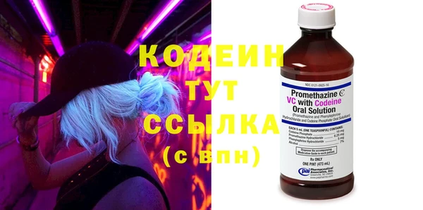 прущие грибы Елабуга