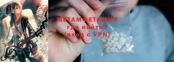 прущие грибы Елабуга