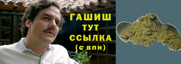 прущие грибы Елабуга