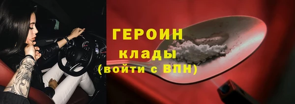 прущие грибы Елабуга