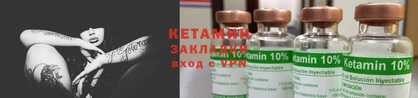 прущие грибы Елабуга