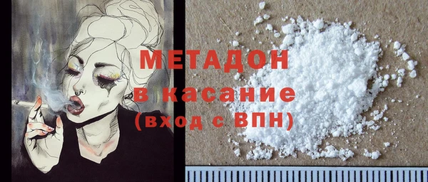 прущие грибы Елабуга