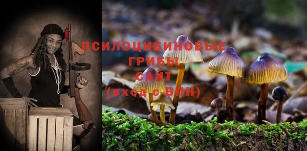 мескалин Дмитров