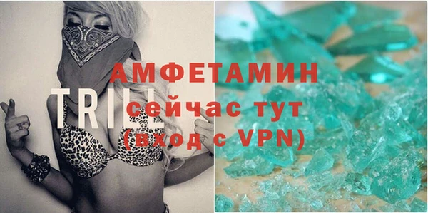 прущие грибы Елабуга
