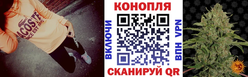 МАРИХУАНА ГИДРОПОН  Электрогорск 